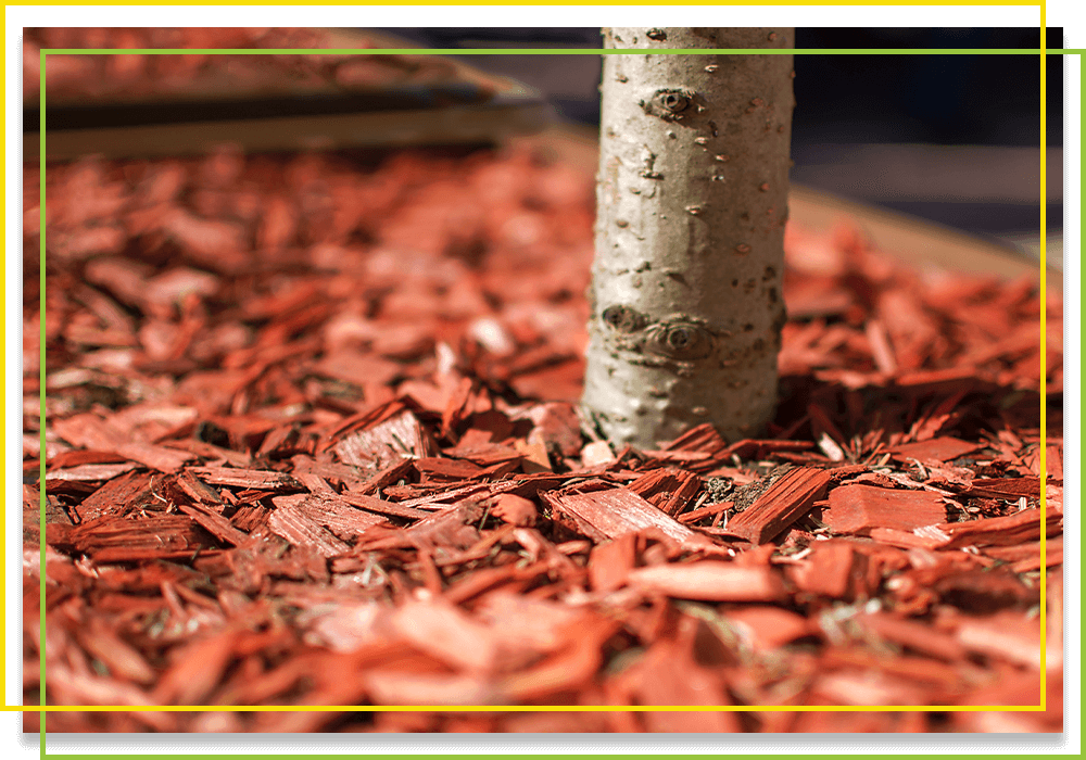 Mulch Sales & Installation Charlotte Get A Free Estimate 4th